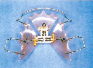 Apparecchio dentale mobile